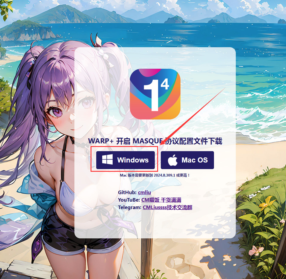 MASQUE配置文件